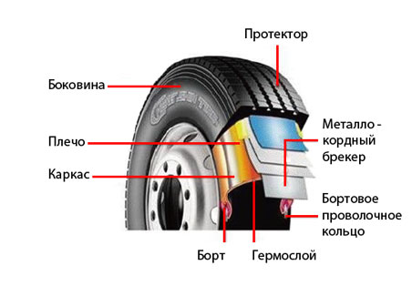 Шина в разрезе